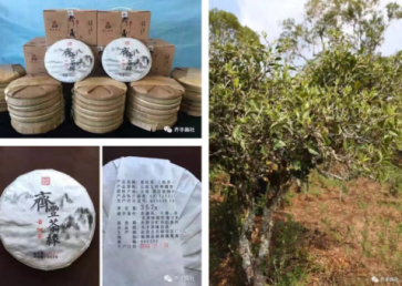 ����ի��Ե